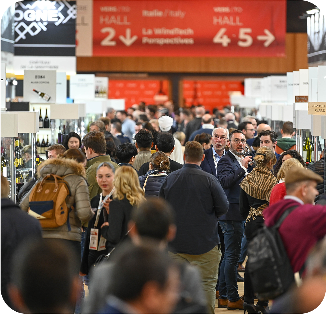 NetWorks | ExpoPlatform